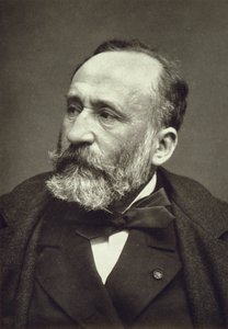 Pierre Cécile Puvis de Chavannes (1824-98), de la Galerie Contemporaine, c.1874-78 - French Photographer